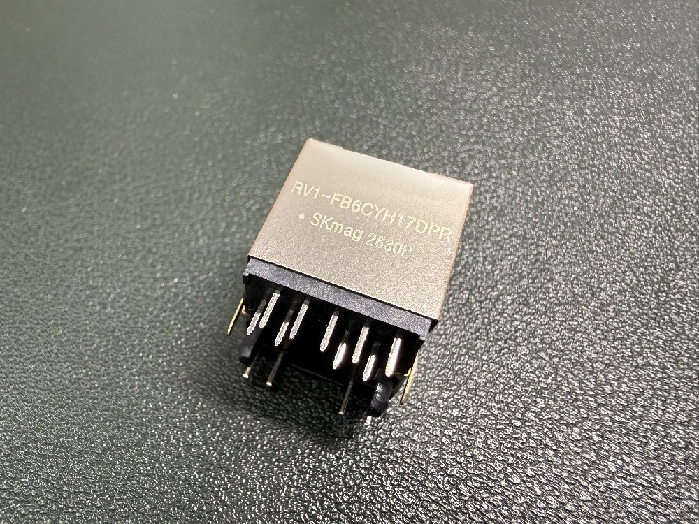 RV1-GB6CYH17DPR
